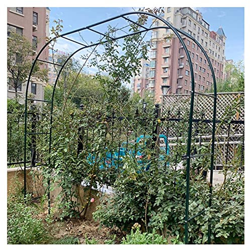 JRPT Arche de Mariage en MéTal avec Base, Arche de Jardin pour FêTe en Plein Air pour Plantes Grimpantes/Noir / W2m×H2.3m
