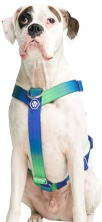 Spark Paws Harnais anti-traction pour chiens de grande taille, harnais robuste pour chiens de grande race forte, réglable, dos nu rembourré en forme de Y avec clip avant - Vague citron vert - M