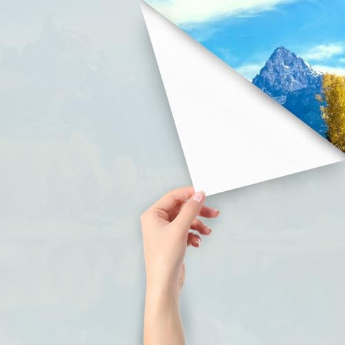 Fensterfolie, 45 x 200cm Blickdicht Sichtschutzfolie Fenster Selbsthaftend, Milchglasfolie Statisch Haftend ohne Klebstoff Folie Fenster Sichtschutz Anti UV für Zuhause Büro Badzimmer Wohnzimmer