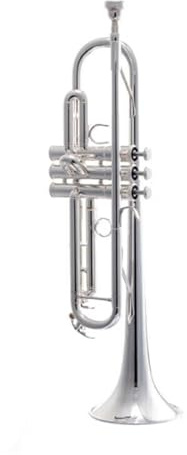 Musikinstrument Trompete B-Band Spielt Goldene Und Silberne Musikinstrumente Mit Blechblasinstrumenten(Color:Silver)