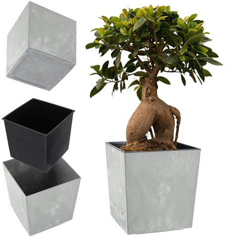 KADAX Jardinière Carrée 26 cm Béton Gris – Grand Pot de Fleurs en Plastique pour Intérieur et Extérieur, Idéal pour la Décoration de Jardin, Terrasse et Balcon