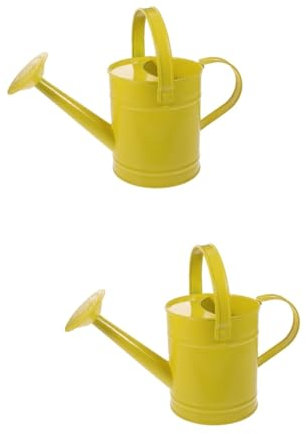 Sosoport 2St Garten gießkanne Blumenversorgung gießen Gießkanne aus Metall Spielzeug Zimmerpflanzentöpfe Streudosen Outdoor-Gießkanne Eisenblech Krug Wasserflasche Bewässerungsflasche Kind