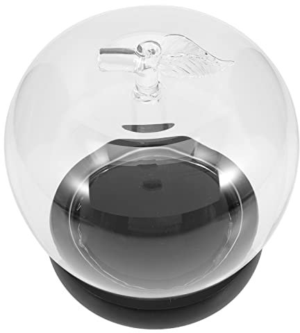 Ciieeo Apple Glass Cover Shaped Preserved Flower Dome Glass Display Dome for Doll Display Case