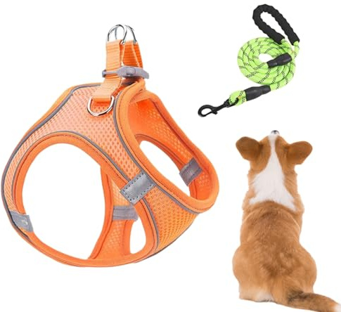 Katzengeschirr und Leinen, Set aus Netzgeschirr und Hundeleinen, verstellbar, für Welpen, Kätzchen, Katzen, für Auto, Reisen, Nachtspaziergänge, Wandern, Training