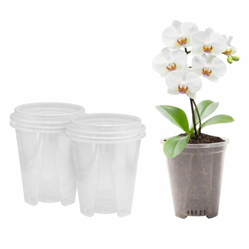 Rurbeder Macetas Transparentes para Orquídeas, 6 Macetas de Plástico (10 cm, 14 cm, 16 cm) con Agujeros de Drenaje, para Plantas Pequeñas, Jardín Interior, Suculentas, Maceta de Orquídea Transparente