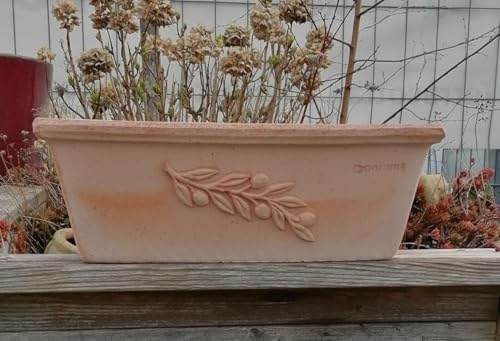 Original Italienischer winterfester Blumenkasten 50 cm mit Olivendekor echt Terracotta Terrakotta Garten Deko Pflanztopf Balkonkasten