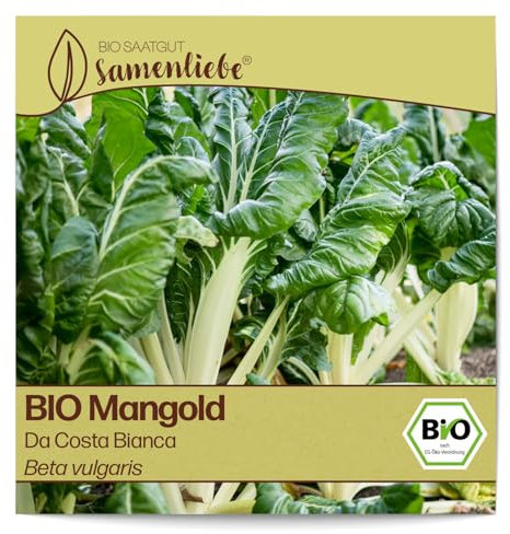 Samenliebe BIO Mangold Samen Da Costa Bianca Stielmangold Krautstiel grün weiß 200 Samen samenfestes Gemüse Saatgut für Gewächshaus Freiland und Balkon BIO Gemüsesamen