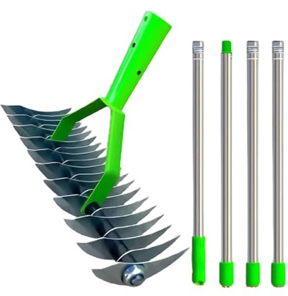 Râteau à démousser - Double face en acier inoxydable - Éliminateur de d' , pour plantation de balcon, assouplissement du sol, entretien extérieur et jardin