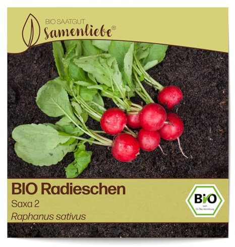 Samenliebe BIO Radieschen Samen Saxa 2 mildes Radies rundes Sommerradieschen rot 200 Samen samenfestes Gemüse Saatgut für Gewächshaus Freiland und Balkon BIO Gemüsesamen