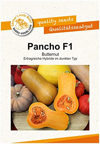 Kürbissamen Pancho F1 Portion
