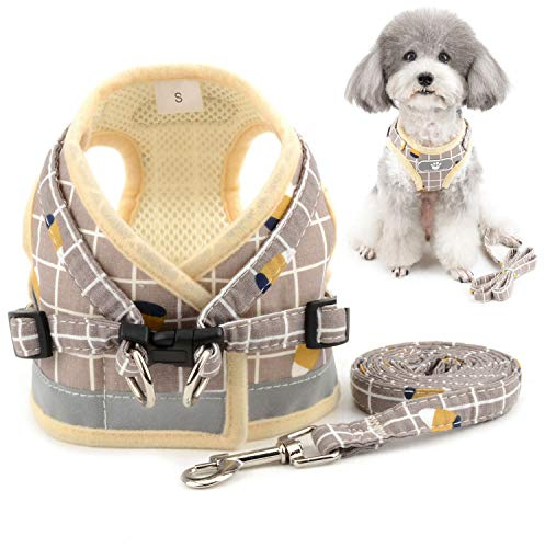 Zunea Hundegeschirr mit Leine Set für Kleine Hunde Welpen Gelb M | Verstellbar, Reflektierend, Anti-Zug, Ausbruchsicher, Netz Gepolstert, Spaziergänge, Chihuahua Yorkie Katzen Brustgeschirre