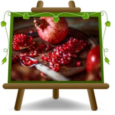 EURO PLANTS VIVAI Grenadier Wonderful précoce plante fruitière en pot 20 cm Hauteur 150-170 cm - Âge 2 ans