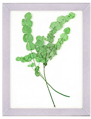 Rahmendesign24 Bilderrahmen Doppelglasrahmen Milano 21x29,7 (DIN A4) Silber (hochglanz) Fotorahmen, Wechselrahmen, Doppelglas