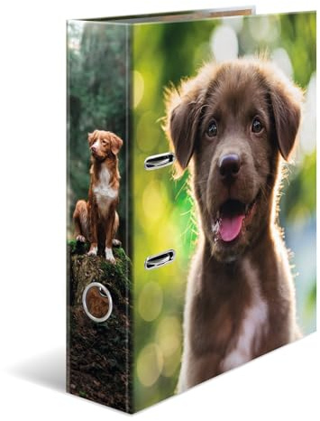 HERMA Ordner A4 Hund, 5 Stück, 7 cm breit, Kinder Ringordner mit Tier Motiv, bunter Aktenordner mit Innendruck für Jungen und Mädchen