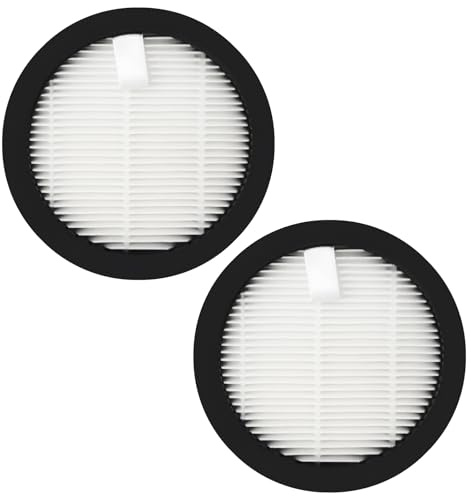 Jegehoyo Filtro HEPA per Anyson Stars 5 45000Pa/550W/70Min Aspirapolvere Bagnati e Secchi Senza Fili Accessori di ricambio (2 Filtro di ricambio)