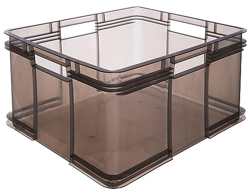 keeeper Contenitore con Impugnature Laterali, Euro-Box XXL, Procyclen, 54 L, Bruno, Trasparente (Crystal Grey)