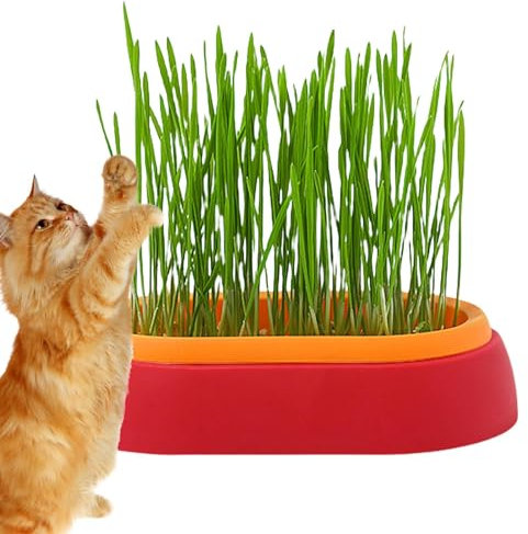 CENMOO Katzengras Anzuchttopf | Hydrokultur-Katzengrasbecher - Katzengrasbox für drinnen oder draußen Katzen, Hunde und andere Haustiere, Sprossen-Tablett, Haustierzubehör