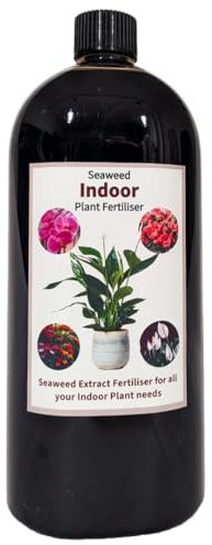 Seaweed Indoor Plant Fertiliser 1L | Liquid Feed Extract for Houseplants | Plant food | Seaweed Fertiliser