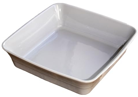 Grey Ceramic Square 10 Baking Dish Large Oven Roasting Serving Tray Baker Pan