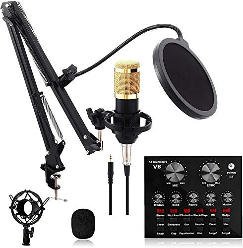 WDWDW Micrófono de Estudio, Tarjeta de Sonido, Kit de micrófono, Compatible con PC/computadora portátil/Tableta/teléfono/PS4, micrófono para transmisión/Canto/Juegos/Video
