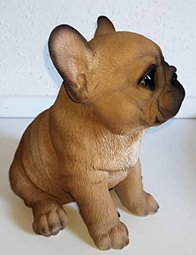 Rofu Dekofigur/Hund Mops/Dekoration/Polyresin/Wetterfest/braun/Tierfigur/Dehner Action