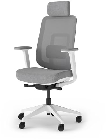 Ergotopia PureBack ergonomischer Bürostuhl – Schreibtischstuhl ergonomisch mit Kopfstütze, 4D-Armlehnen & Synchronmechanik – Für Home Office, Büro & Gaming – Bequemer Drehstuhl für gesundes Sitzen