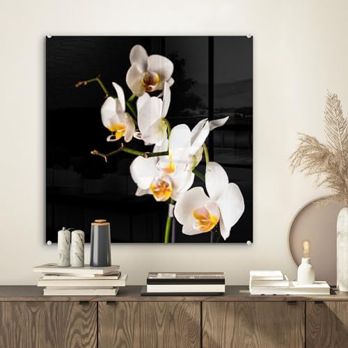 MuchoWow Glasbild Glasfoto Wandbild Bilder Deko 50x50 cm Orchidee - Blumen - Pflanzen - Botanisch