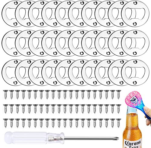 30pcs Stainless Steel Bottle Opener Inserts with 60 Screws and Screwdriver for DIY Resin Mould Crafts Making