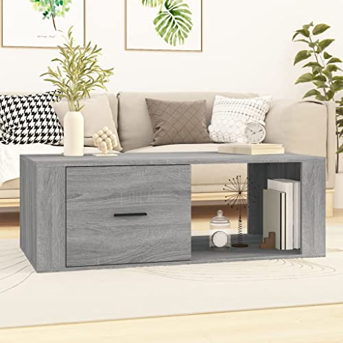 BUKSCYJS Kleiner Couchtisch,Truhentisch Couchtischcouchtisch Grau Sonoma 100x50,5x35 cm Holzwerkstoffgeeignet FüR Wohnzimmer, Neben Dem Sofa, Arbeitszimmer, Konferenzraum