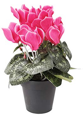 FloristryWarehouse Alpenveilchenstrauß im Topf, Kunstseide, 25 cm hoch, Rosa