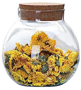 VASANA Barattolo ermetico rotondo in vetro trasparente da 500 ml, con coperchio in sughero, contenitore per tè, bottiglia ecologica, contenitori per alimenti per casa e cucina