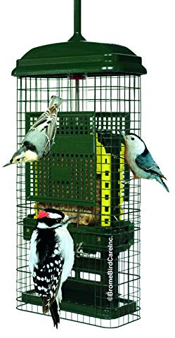 Ekorre Buster Suet ekorrsäker Suet Bird Feeder w/2 Suet kakbrickor, 2 smulportar, rörfri matning, grön