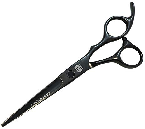 Ciseaux de coiffure professionnels, Ciseaux de coiffeur, Noir - 14 cm