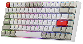 NEWMEN GM840 Mechanical Keyboard,75% Percent Wireless Gaming Keyboard | Mechanical Keyboard,75% Percent Wireless/Bluetooth/Wired Gaming Keyboard,RGB Backlit,Hot Swappable,Compact,PC,Brown Switch