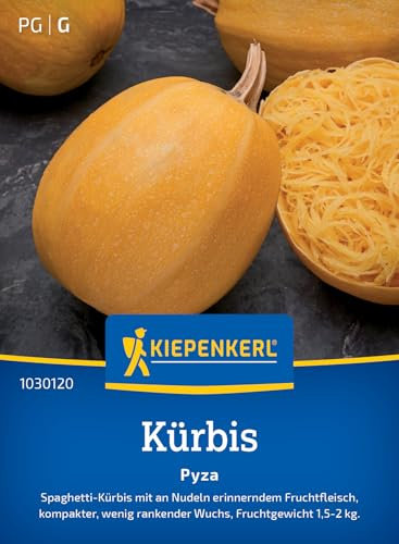 Kiepenkerl Kürbissamen Pyza 1030120 - Spaghetti Kürbis - kompakte Sorte - weniger rankender Wuchs - 1,5-2kg - Samen Gemüse, Saatgut, Gemüsepflanzen
