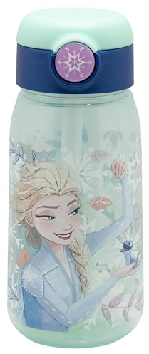 Stor BOTELLA ACTIVE 510 ML FROZEN SNOWY TALE