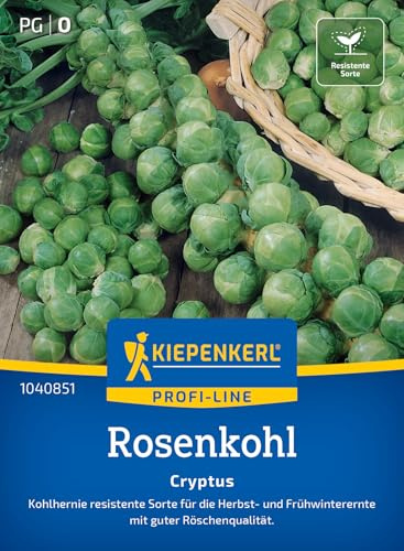 Rosenkohl Cryptus, F1