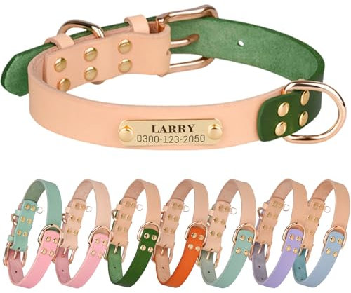 Personalisierte Hundehalsbänder aus Echtem Leder mit Gravur Namen und Telefonnummer Hundehalsband für Welpen Hunde 23-30CM Einstellbar 1,5CM Breit XS