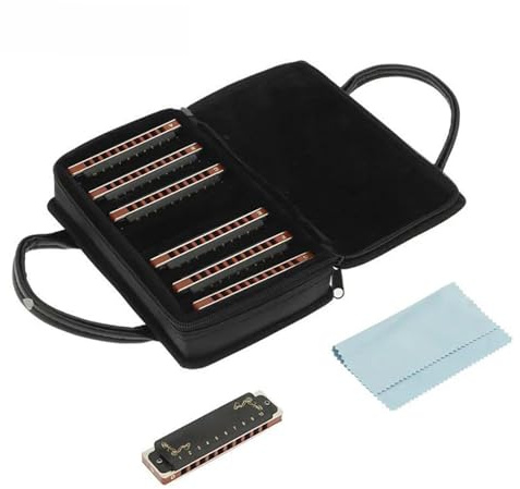 Diatonisches Mundharmonika-Set, 10 Löcher, Blues Harp, Diatonisches Mundharmonika-Set Mit 7 Tonarten, Für Erwachsene Und Bandspieler