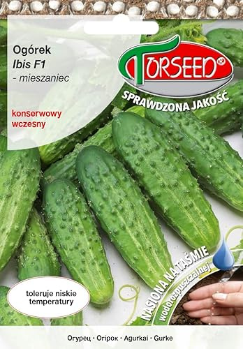 Verdica Ibis F1 Gurkensamen – Frühes, kräftiges Wachstum, pilzresistent, perfekt zum Einlegen, kältebeständig, biologisch abbaubares Band, 40 Samen