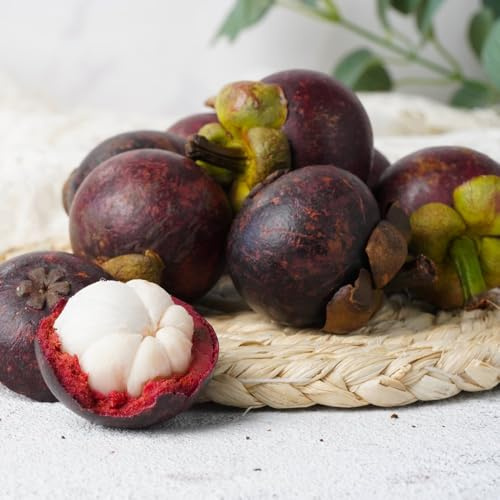 semi di mangostano - colonnare regali per giardinieri per il giardino da colonnari da giardino serre balcone rari vecchie 30pcs