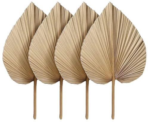 LKXHarleya 4 Plantas Decorativas Naturales, 25 x 45 cm, Hojas de Palma secas para jarrones, Bodas, Fiestas, oficinas y hogares.