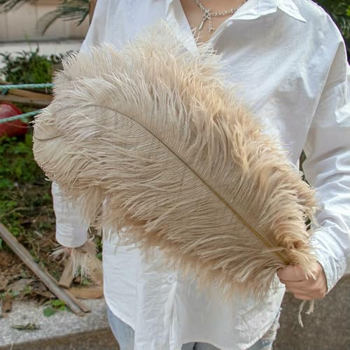 Lot de 10 plumes d'autruche à grande échelle, vert menthe, pour loisirs créatifs, décoration de table de mariage, bijoux et accessoires - couleur camel - 55-60 cm