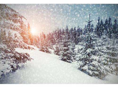 YongFoto 2,2x1,5m Foto Hintergrund Weihnachten Vinyl Winter Wunderland Schnee bedeckte B鋟me Schneeflocken Schwacher Sonnenschein Fotografie Hintergrund Foto Leinwand Kinder Fotostudio