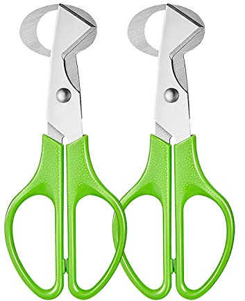 Hotype Tijeras Huevos Codorniz, Codorniz Huevos Tijeras Huevo Cortador, Tijeras de Acero Inoxidable para Huevos de Codorniz, Codornices Cáscaras Huevo Tijeras para Hogar, Cocina, 2 Piezas
