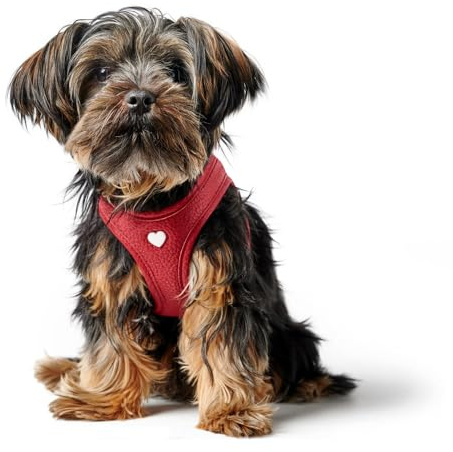 Hunter Hundegeschirr Love, Farbe: rot, weiches Rindsleder, atmungsaktive Mesh-Polsterung, Herz handgenäht, hoher Komfort, Made in Germany, Größe: S