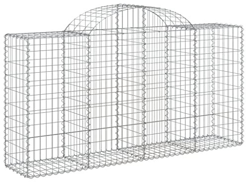 vidaXL Paniers à gabions arqués 2 pcs 200x50x100/120 cm fer galvanisé, gabion, cage de gabion, panier de mur de gabion, mur de gabion