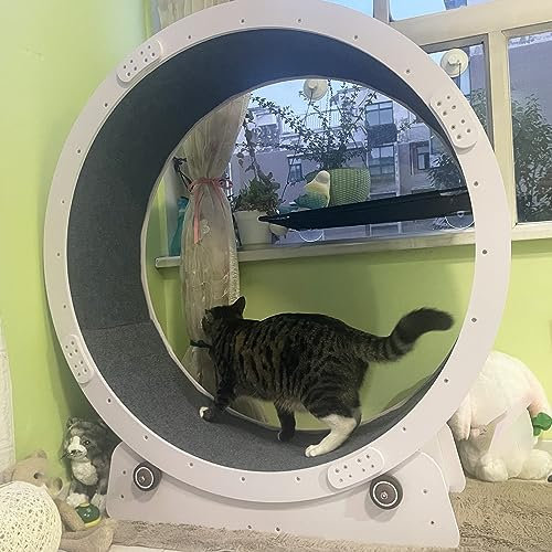 Katzen-Laufrad, leises Katzen-Übungsrad, Laufband – weißes Sicherheits-Katzenrad für den Innenbereich, Katzen-Laufrad, Katzenspielzeug, kleines, mittelgroßes und großes Katzen-Laufband-Spielzeug