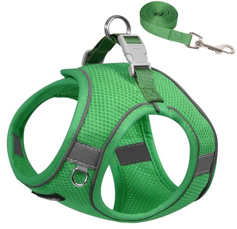 AIITLE Hundegeschirr für mittelgroße Hunde, Anti-Zug-Hundeweste mit Leine, ausbruchsicheres Haustier-Outdoor-Geschirr, Welpen-Essentials für mittelgroße Hunde, Grün, M