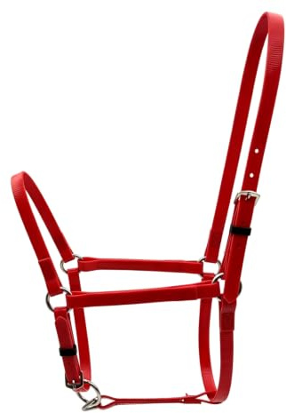 Strapazierfähig Stallhalfter, Array, Color to 1 | Kontinuierlich verstellbar, Halfter mit Metallbeschlägen, strapazierfähig, Pferdehalfter, für Pferdetraining, Reiter